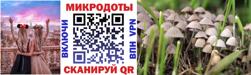 Галлюциногенные грибы Psilocybe  как найти закладки  Трёхгорный 